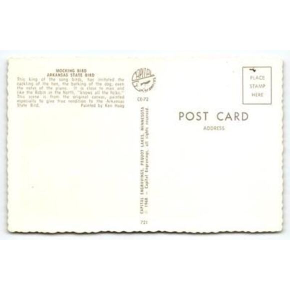 Vintage Arkansas State Bird Mockingbird Postcard by Ken Haag 1968 - Picture 2 of 2